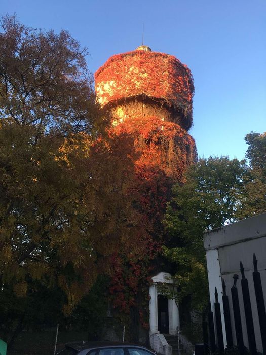 Продава се Двустаен апартамент в София, Лозенец - 55 кв.м за 4364 €/кв.м - Снимка #15