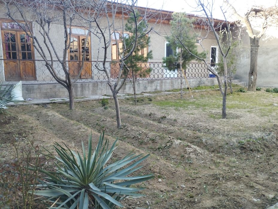 Уй, ери  олимпияда