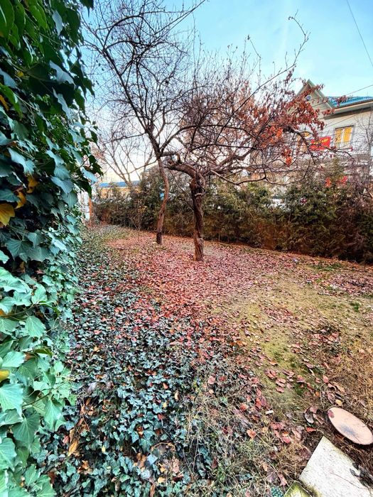 Аренда 4х ком 160м2 Дархан интелект big home