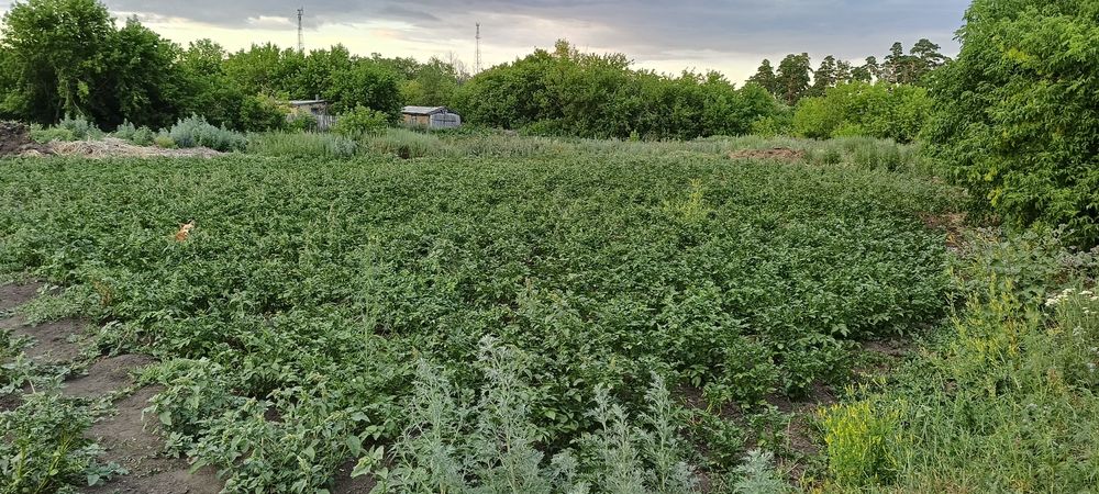 Продам отдельно стоящий дом