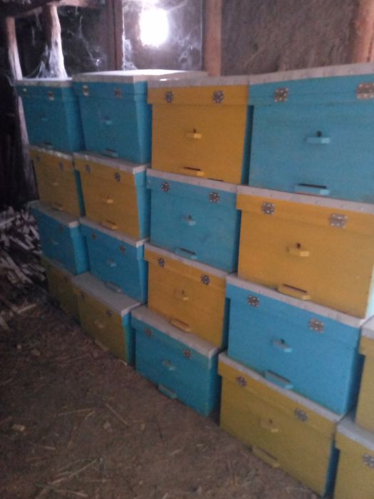 Taxta sasna uchlik taxtadan