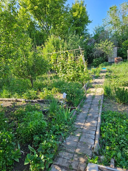 Продается дача в Мелиоратор 7,3 сот.