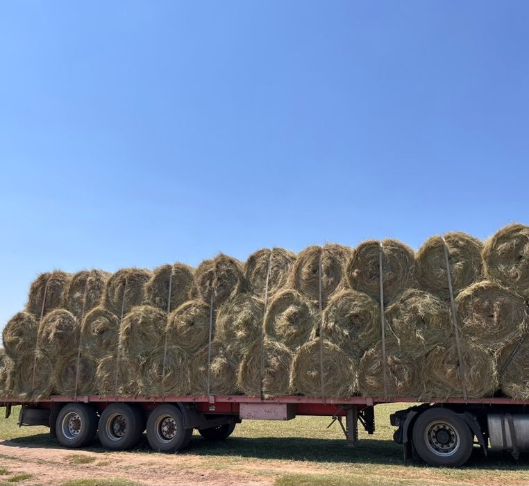 Шөп! Рулон с доставкой,