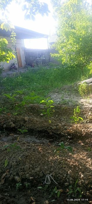 Хамма дакумент бор