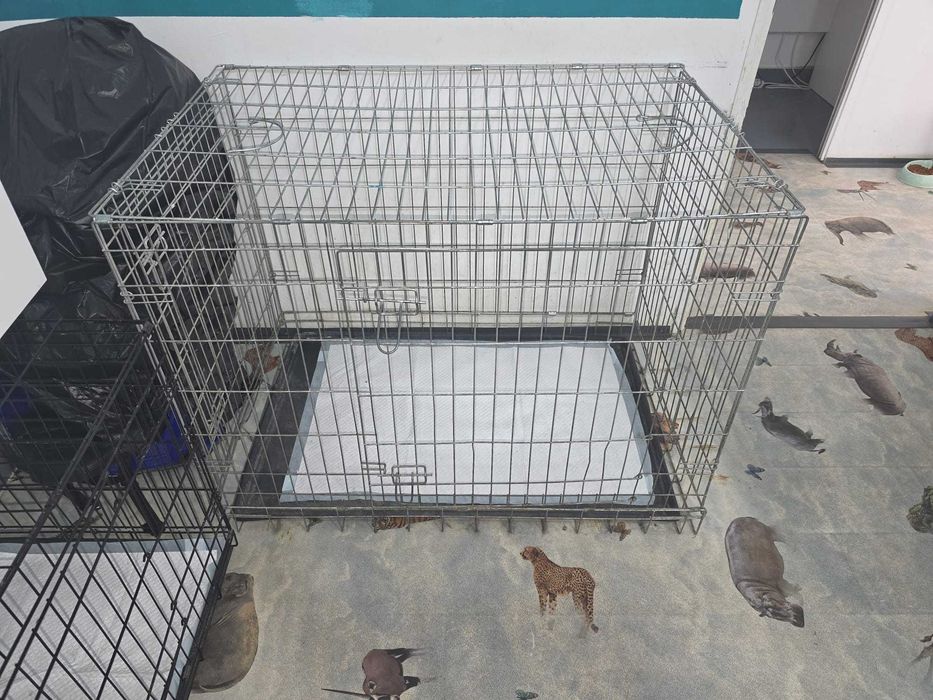 Custi/CuscaPlianta Pliabila  Pentru Caini Pisici Animale De Companie Pentru Cabinet Veterinar Sau Transport