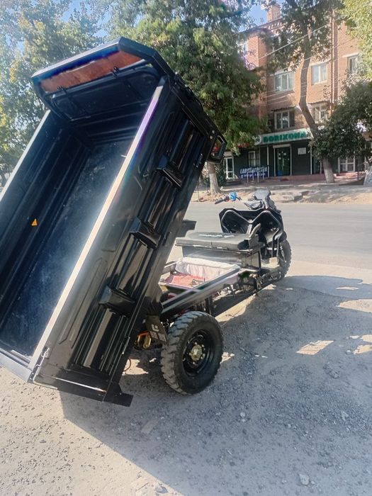 Электронной муравей 1000$