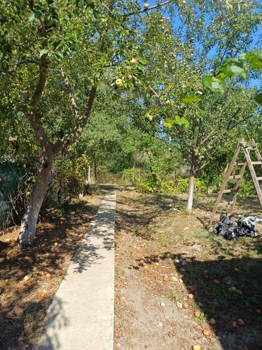 Casă de  vânzare  în Beltiug