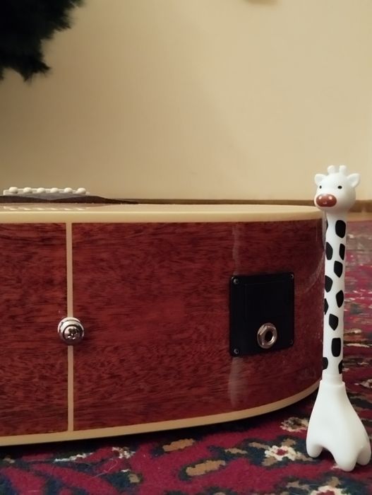 Акустическая гитара Cort