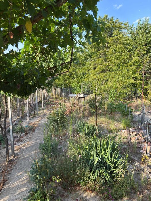 Продава се Къща в Силистра, Запад - 700 кв.м за 33 €/кв.м - Снимка #13