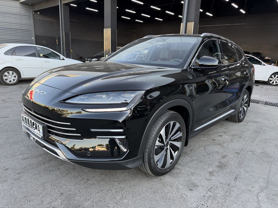 BYD chimpion 2024!!!