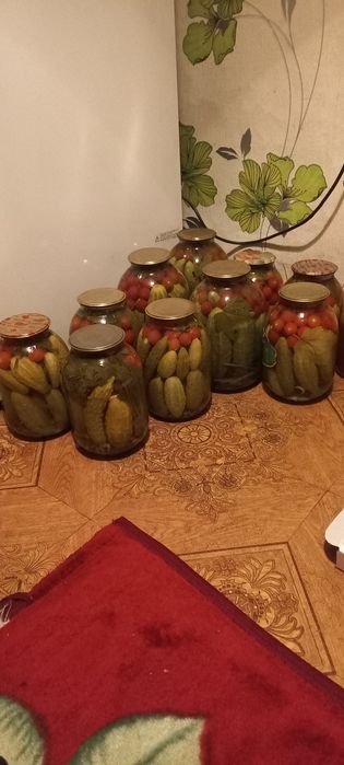 Продам ассорти: помидоры огурцы