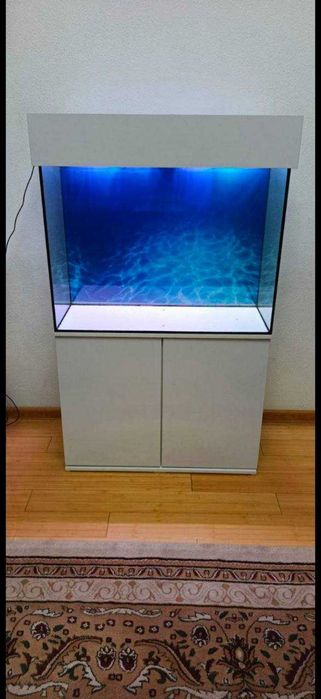 Akvariumlar sotiladi, bizda arzon va sifat
