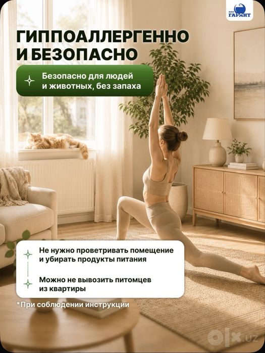 Эко Абсолют от клопов и блох и других насекомых