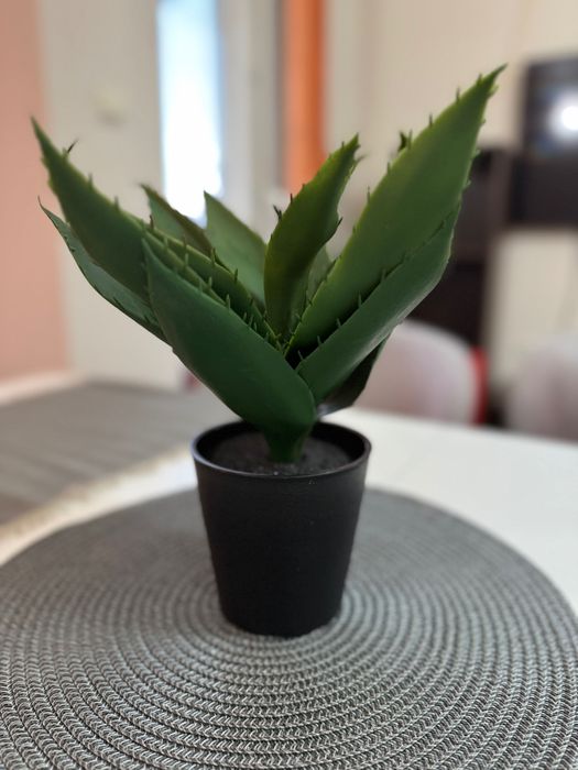 Апартамент  Мони