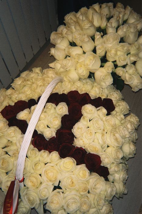 151 роза + 71 роза