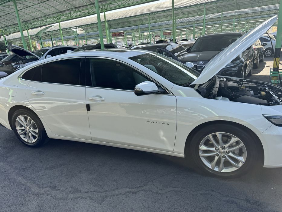 Malube 2 2/4 oq 2019 atfasferni mator kraskasi tozza