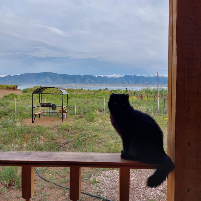 Сдам дом в  Самарке -(2 минуты до воды)