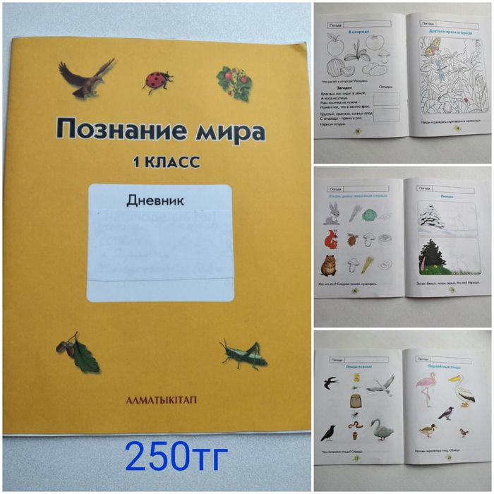 Развивающие тетради для малышей.