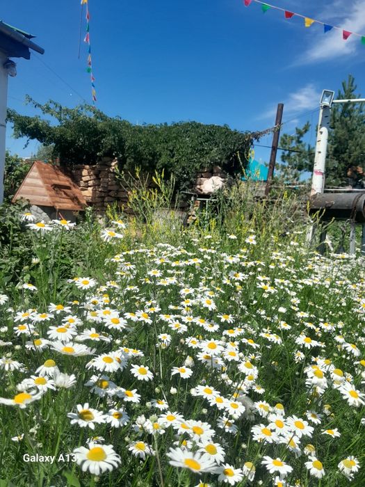 Отдых в Каркаралинске.