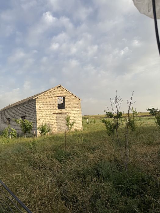 Теплица для бизнеса