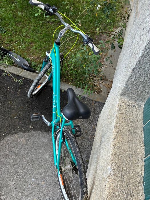 Bicicleta kross Silk