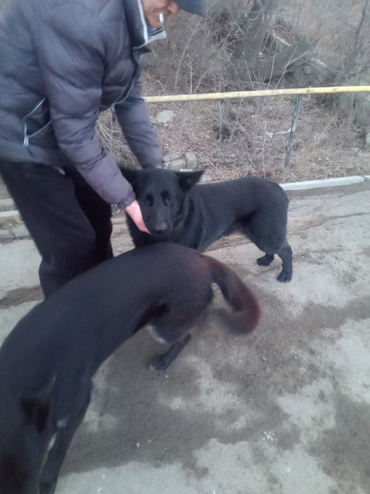 Продам немецкого кабеля