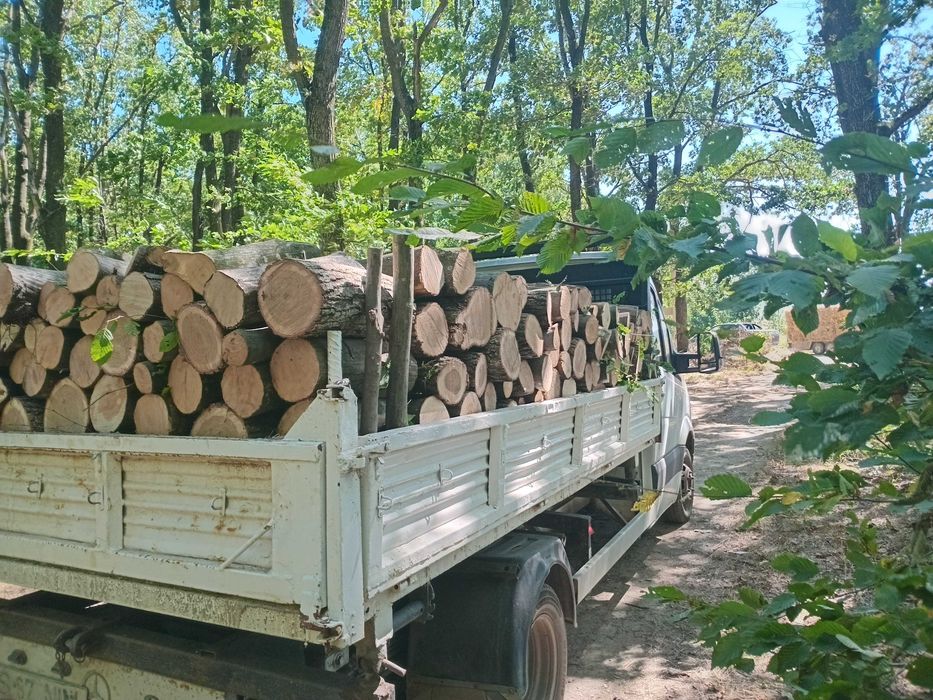 Transport lemn de foc
