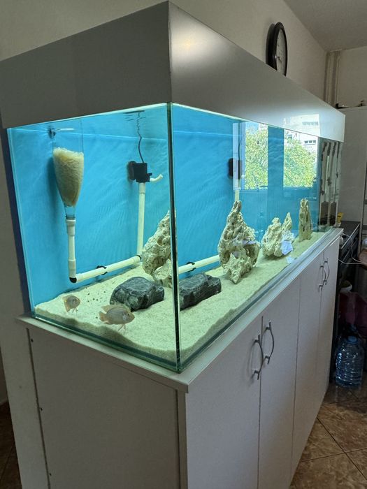 Acvariu 400l sticla de 10mm