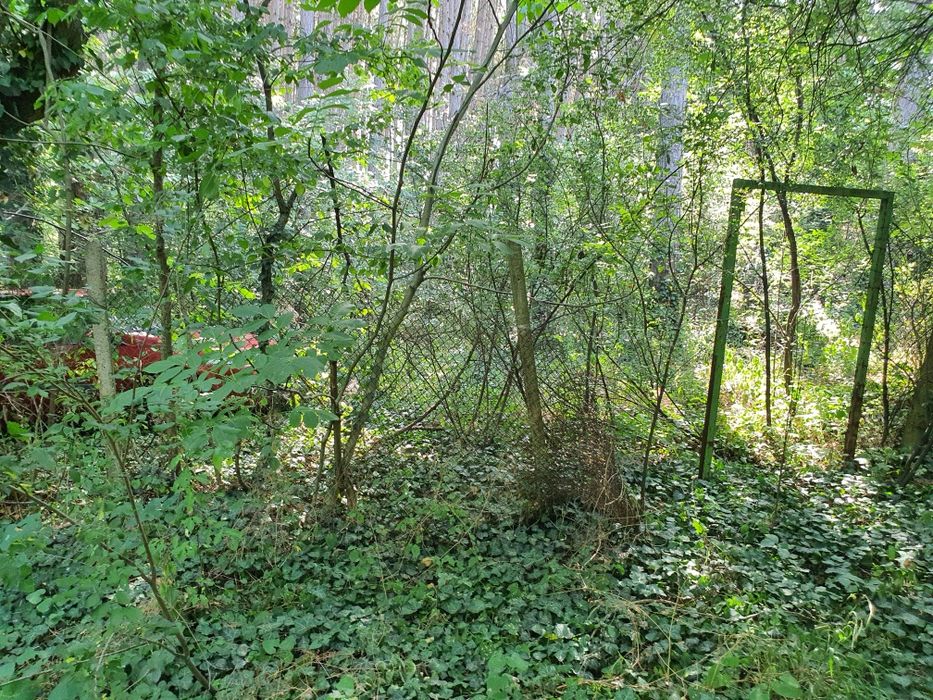 Продава се Парцел в Плевен, м-т Мъртва долина - 765 кв.м за 17 €/кв.м - Снимка #6