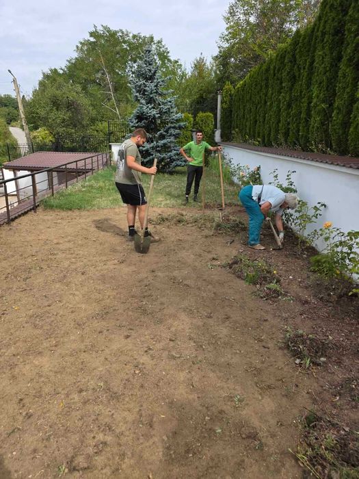 Почистващи, изкопни, насипни и озеленителни услуги