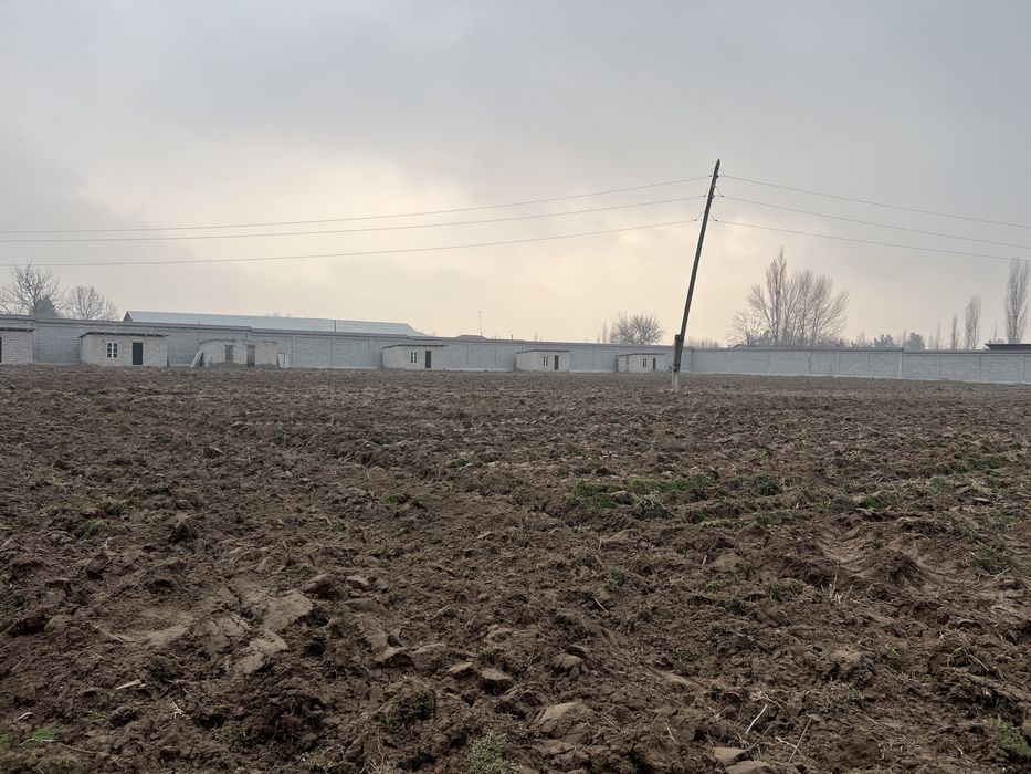 Продаеться земля недвижимость В Янгибазаре Юкори Чирчикском р-н.