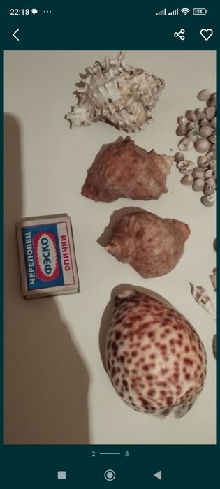 Декор для аквариума