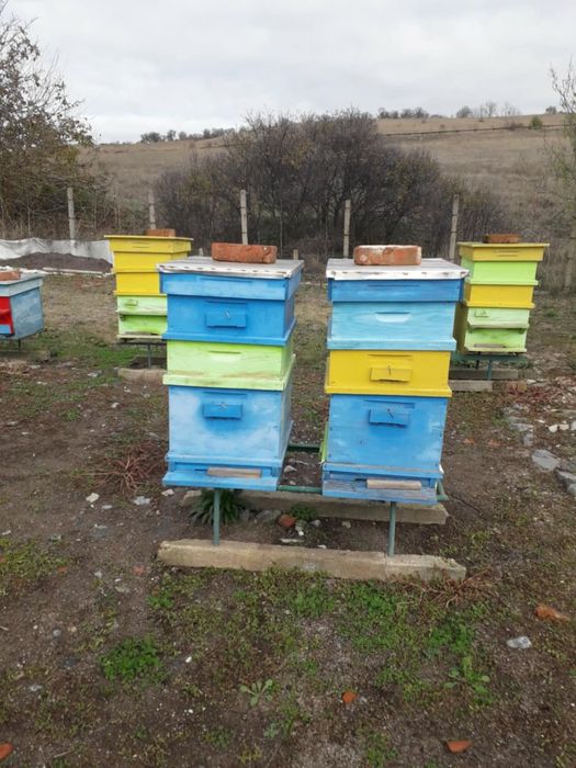 Кошери ДБ 10 рамкови