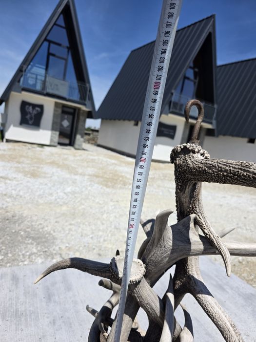 Candelabru coarne cerb