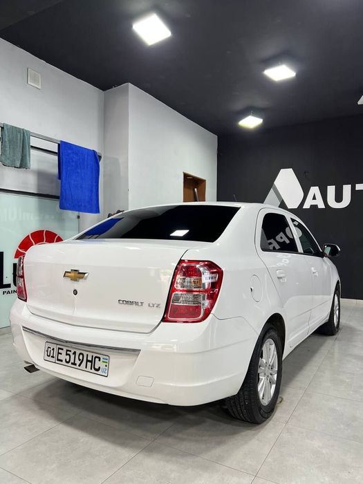 Other Cobalt 2023 — 3