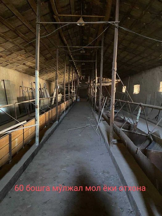 СРОЧНО ФЕРМА Назарбек Туркистон 73сотх. Торг уместен.