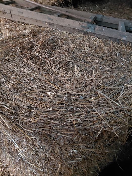 Baloti   de     paie