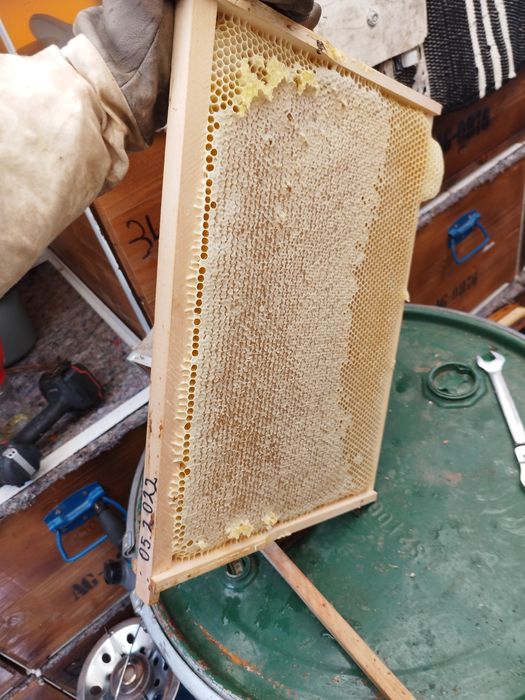 Vând cutii de stupi orizontali pe 18 rame