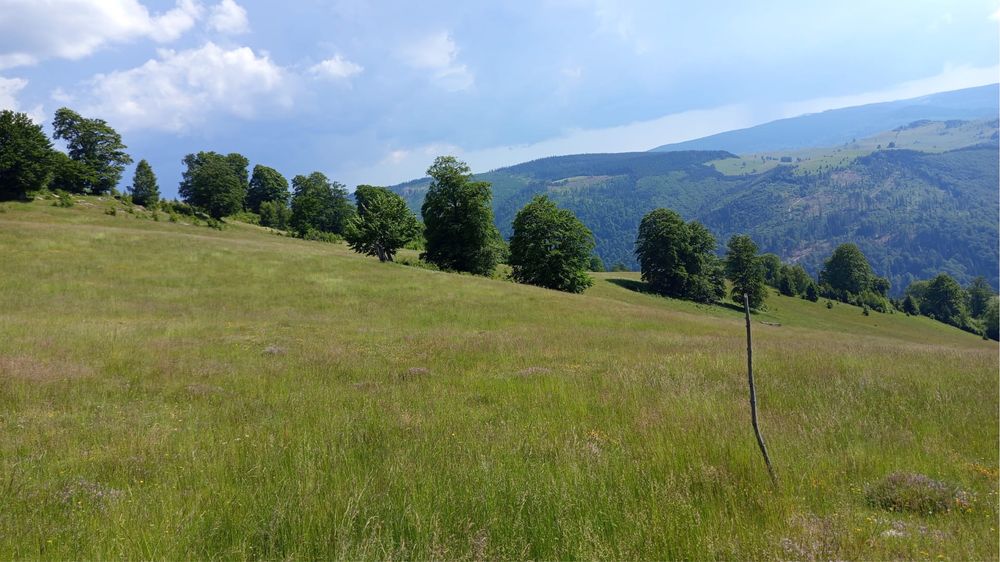 Teren de vânzare la munte - Jina, Sibiu