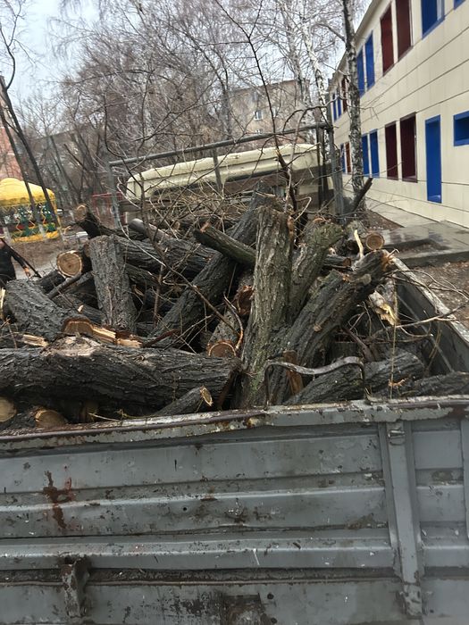 Продаю дрова карагач