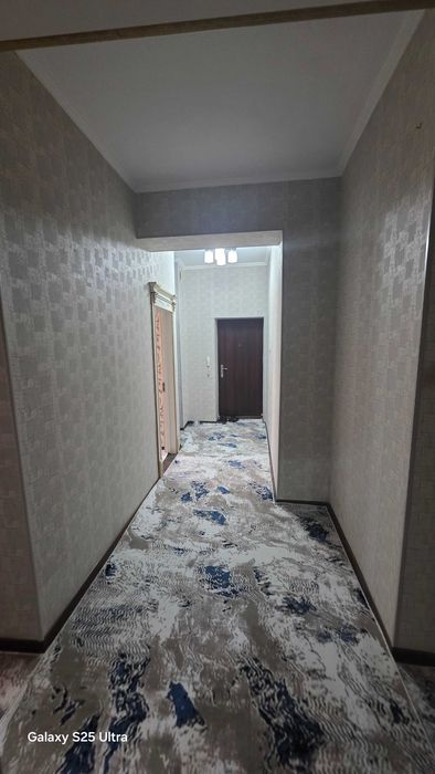 2 Xonalik 3 Xonalik qilingan Tinchlik Domi