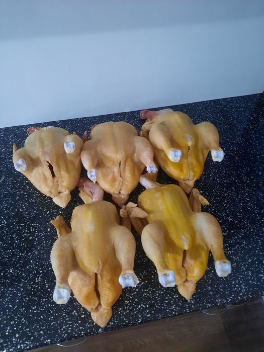 Мясо домашнего бройлера