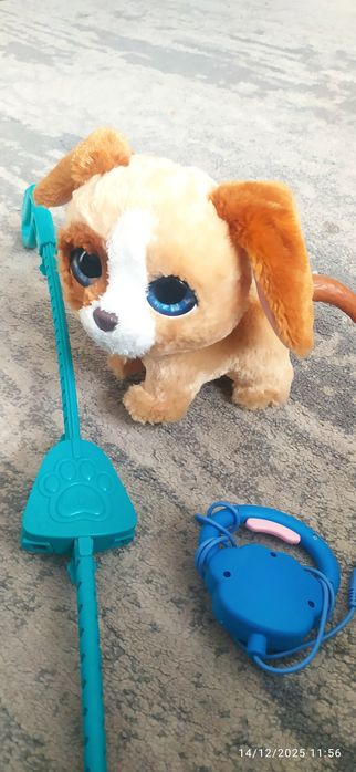 На разходка с куче