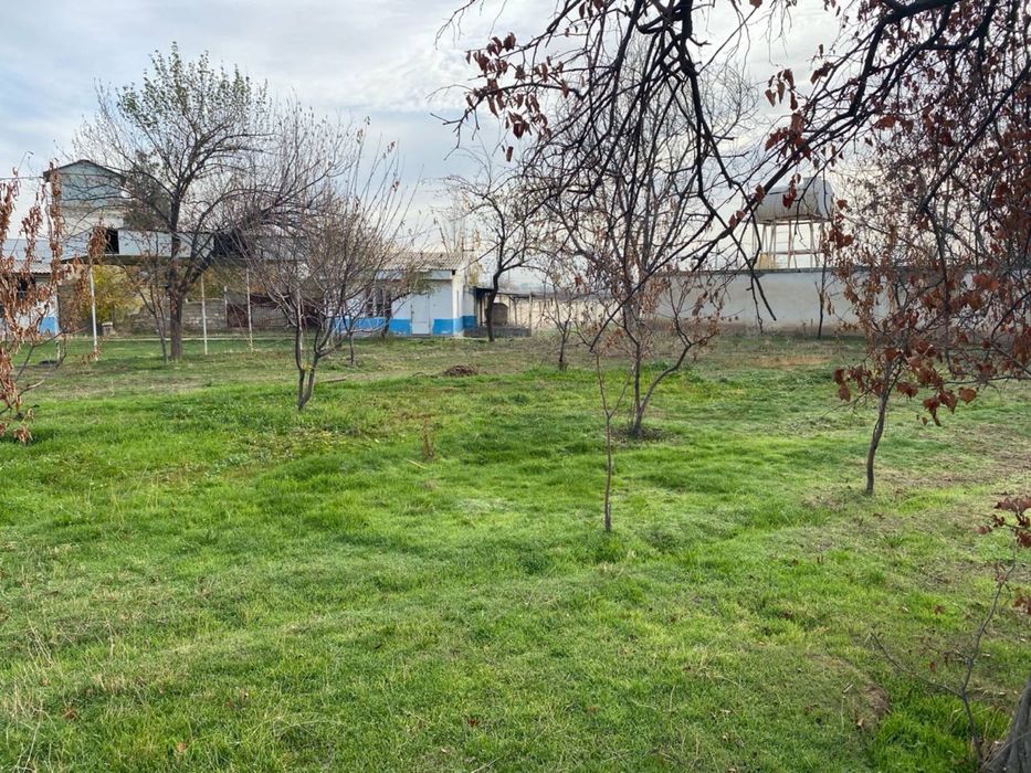 Продается Свой участок напротив парка «Янги Узбекистан»