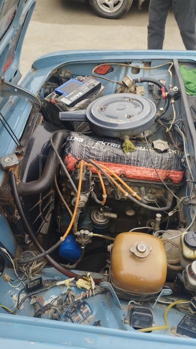 Ko'k jugili trentagi