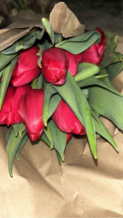 Тюлтпаны на 8 марта