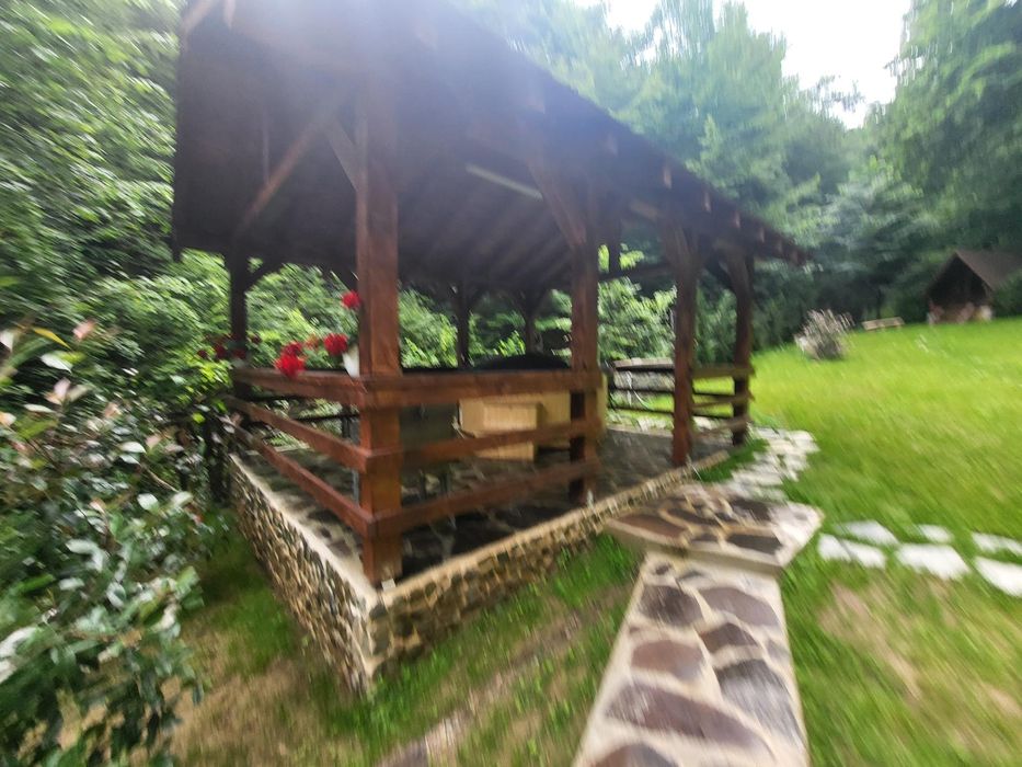 Închiriez cabana în comuna Baisoara, sat Frasinet