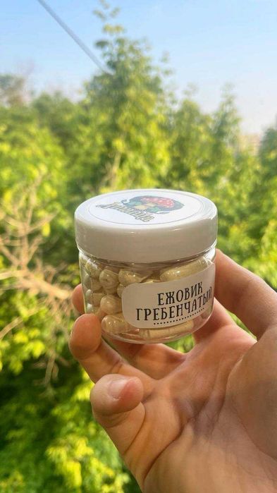Ежовик гребенчатый в VEG капсулах / БЕЗ МИЦЕЛИЯ!