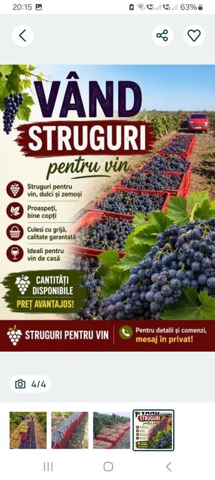 Struguri de vin direct de la Vrancea de la țărani