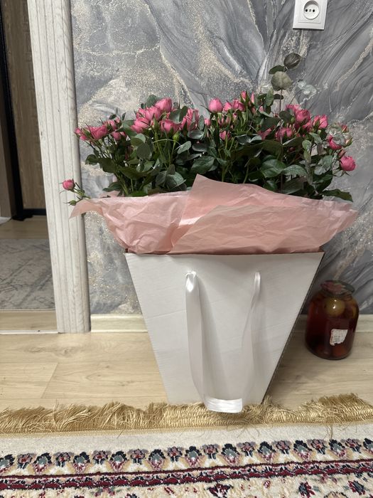 Цветы свежие розы